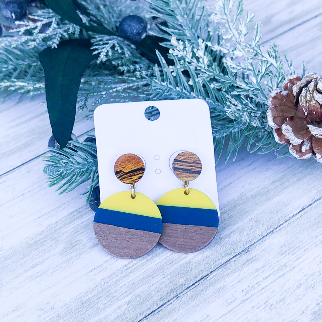 Color Block Wood Dangle Earrings